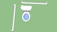 Handicap toilet