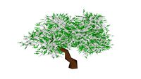 White Wisteria Tree