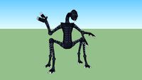 Spider Smith