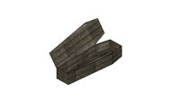 Toe pincher coffin