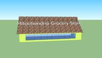 Mitochondria Grocery Store