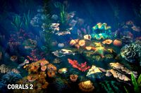 Corals 2