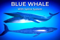 Blue Whale with Spline System