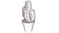 Cactus Lea