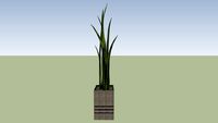 Cachepo com planta