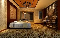 Spa Room 0263d model