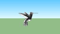 colibri