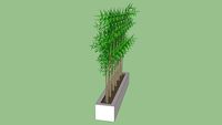 bambu seperator
