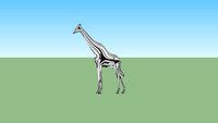 girafe - giraffe