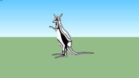 kangourou