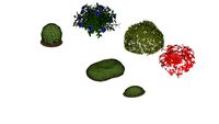 Winterhaven garden shrubs