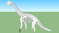 Brachiosaurus Model