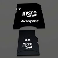 SD Card and Adapter3d model