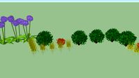 modern composition of plants