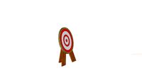 Archery Target