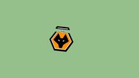 Wolverhampton Wanderers USB