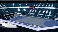 handball temple