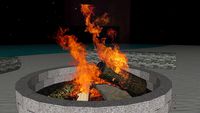 Beach Bonfire