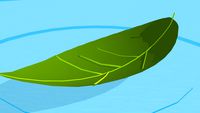 folha na agua (leaf)