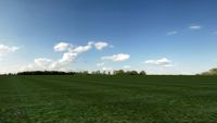 skydome