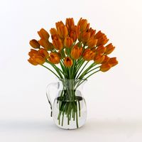 Tulips in the jug