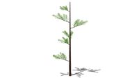 Evergreen sparse pine tree 30'
