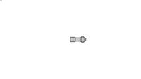 Whirling nozzle