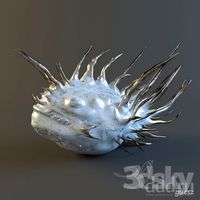 Crazy Fish Fig