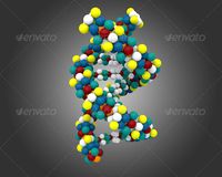 DNA Model