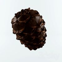 Cedar Cone