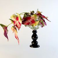 vase of calla lilies