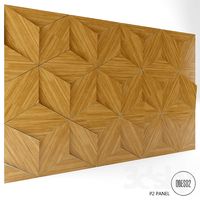 ODESD2 P2 PANEL