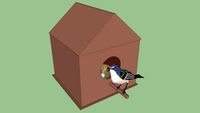 Bird House