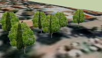 Trees