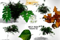 MEGA BUSH Volume 02