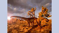 Diplodocus longus