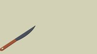 Kitchen Knife