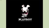 Lapin cretin playboy