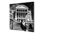 Quadro Dorival Moreira - Série Brasil: Manaus
