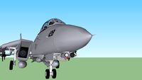 F-14 Tomcat