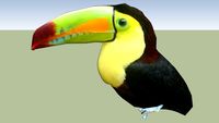 Toucan