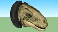 head dewback