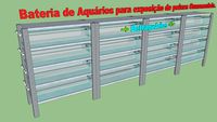 Bateria de Aquários - Expositor de Peixes.