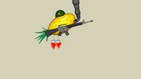 mr pineapple goes to war