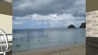 in okinawa sea said beech