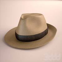 Hat