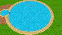 PISCINAS D´AMICO