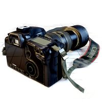 Canon 5D
