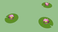lilypad(s)