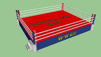 Ring de Boxeo ( Calafate City Box )